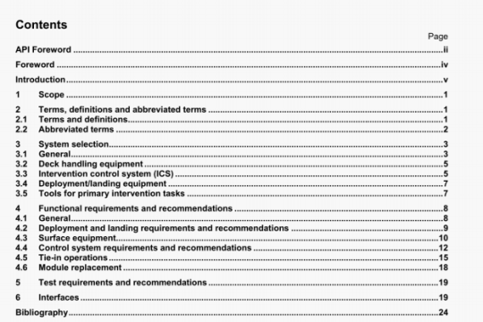 API RP 17M:2004 pdf download