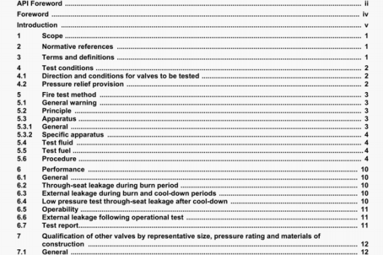 API STD 607:2005 pdf download