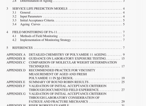 API TR 17TR2:2003 pdf download